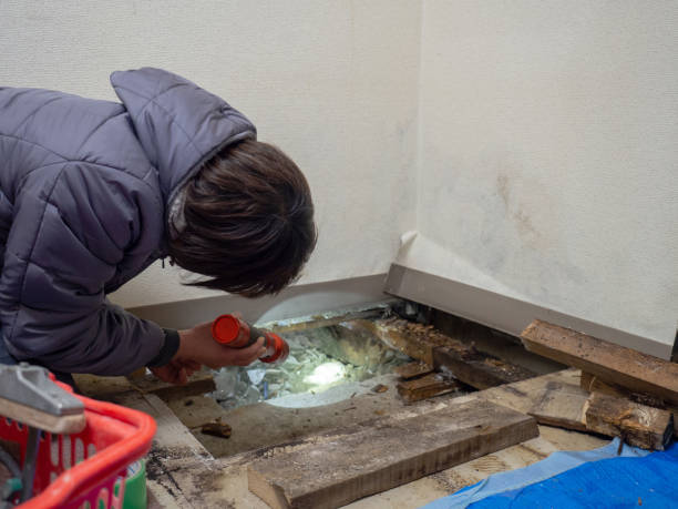 Asbestos and Lead Testing During Mold Inspection in Fremont, MI