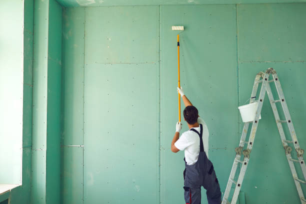 Best Emergency Mold Remediation  in Fremont, MI