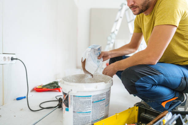 Fremont, MI Mold Removal Company