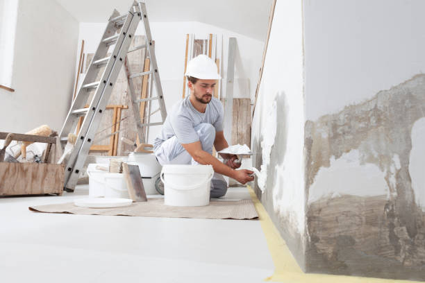 Best Post-Construction Mold Inspection  in Fremont, MI
