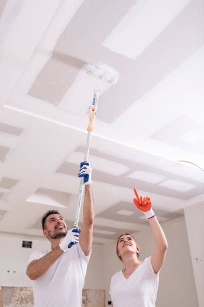 Mold Remediation for Rental Properties in Fremont, MI