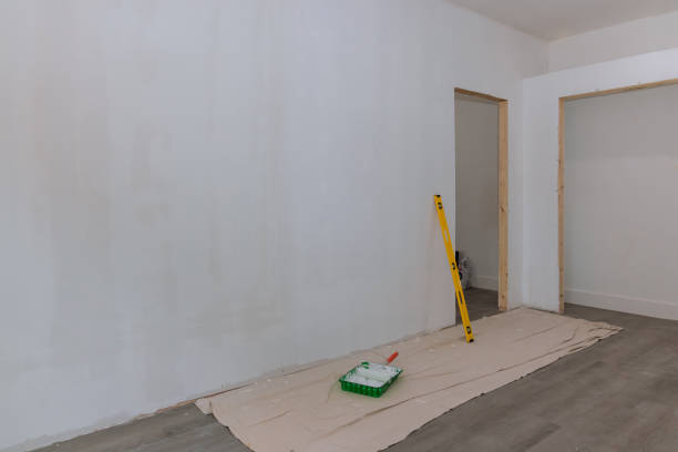Best Asbestos and Lead Testing During Mold Inspection  in Fremont, MI