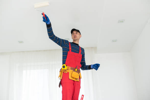 Mold Documentation for Insurance Claims in Fremont, MI