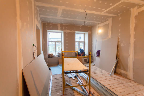 Best Biohazard Mold Removal  in Fremont, MI